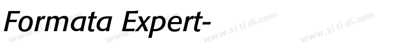 Formata Expert字体转换